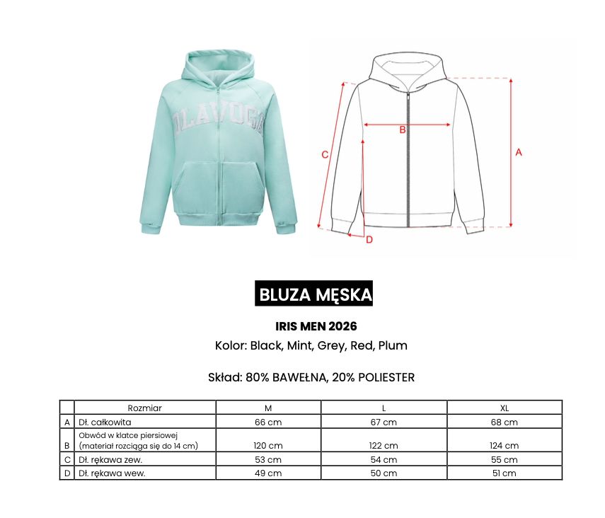 Bluza męska OLAVOGA IRIS MEN 2026 szara